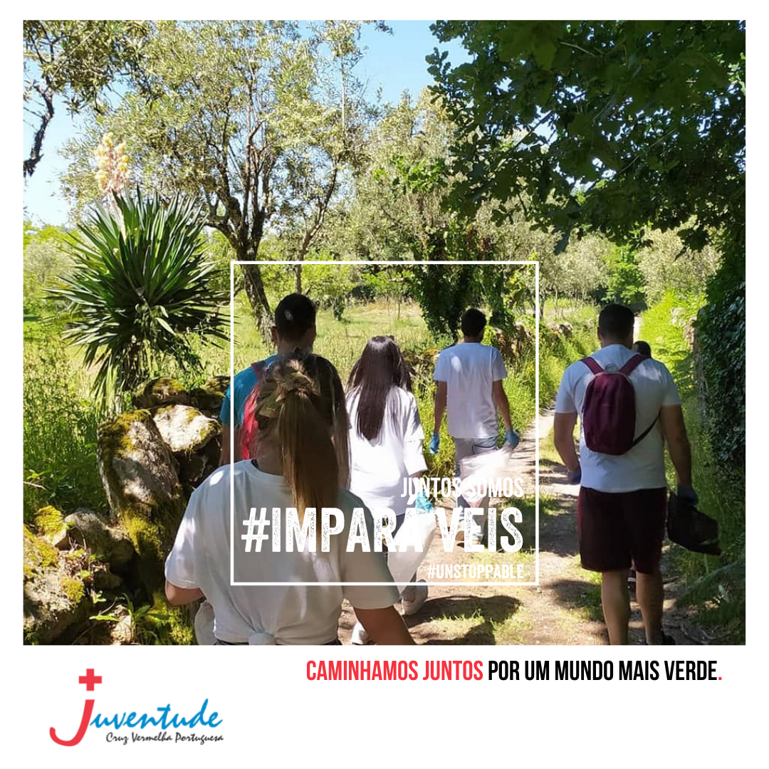 3 copy copy copy copy