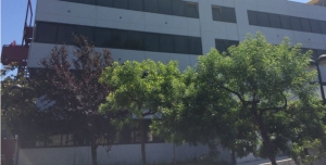 Inauguração do Complexo de Neurointervenção da Cruz Vermelha Portuguesa em Gaia